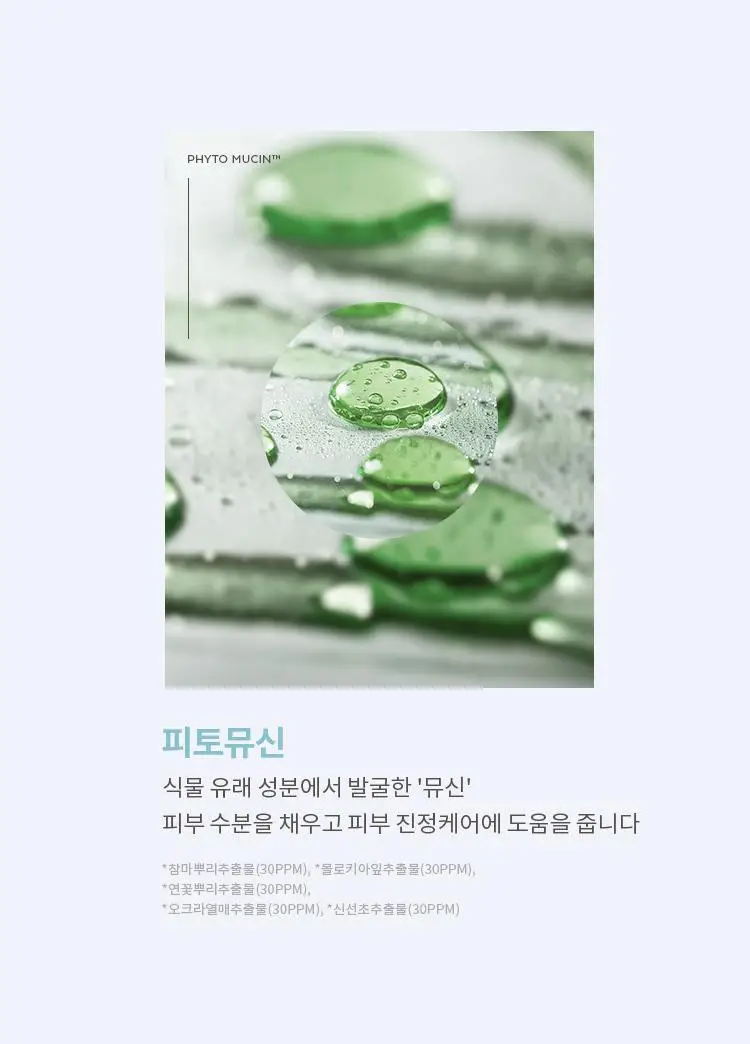[단독기획] 미샤 레이어링핏 파인피토뮤신 세럼 비비크림(단품/퍼프,공용기 기획) 상세페이지 22
